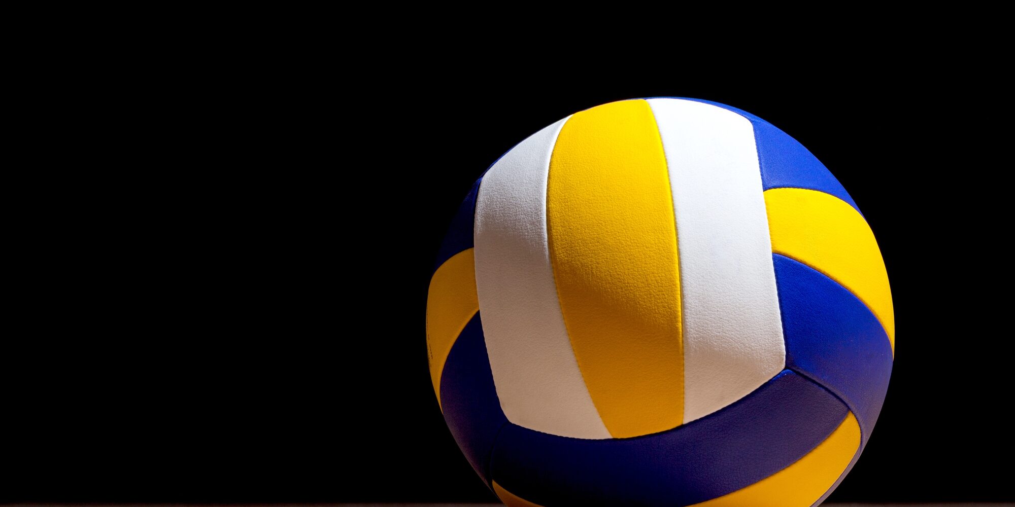 pallone pallavolo bologna