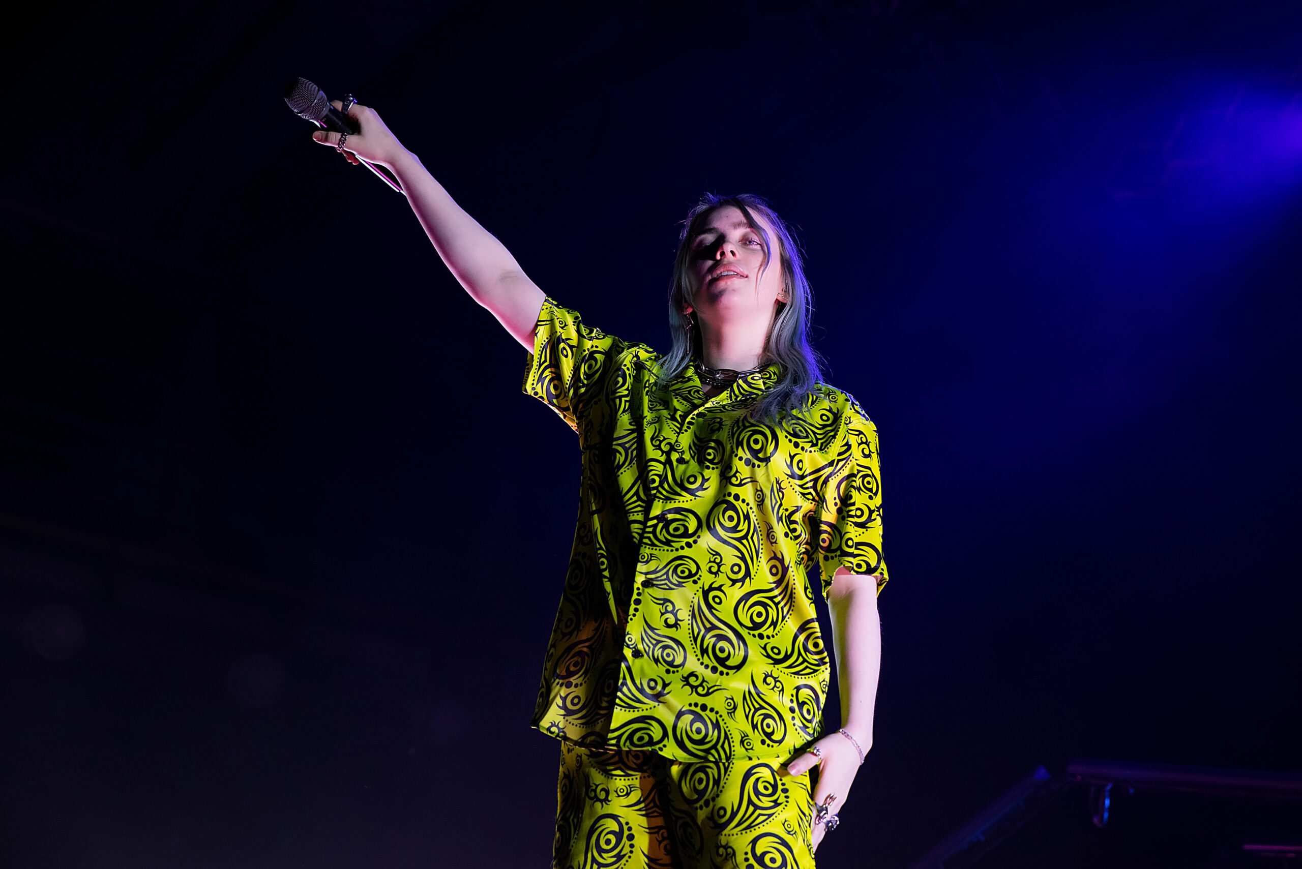 Billie Eilish sarà in concerto a Bologna (DreamsTime)